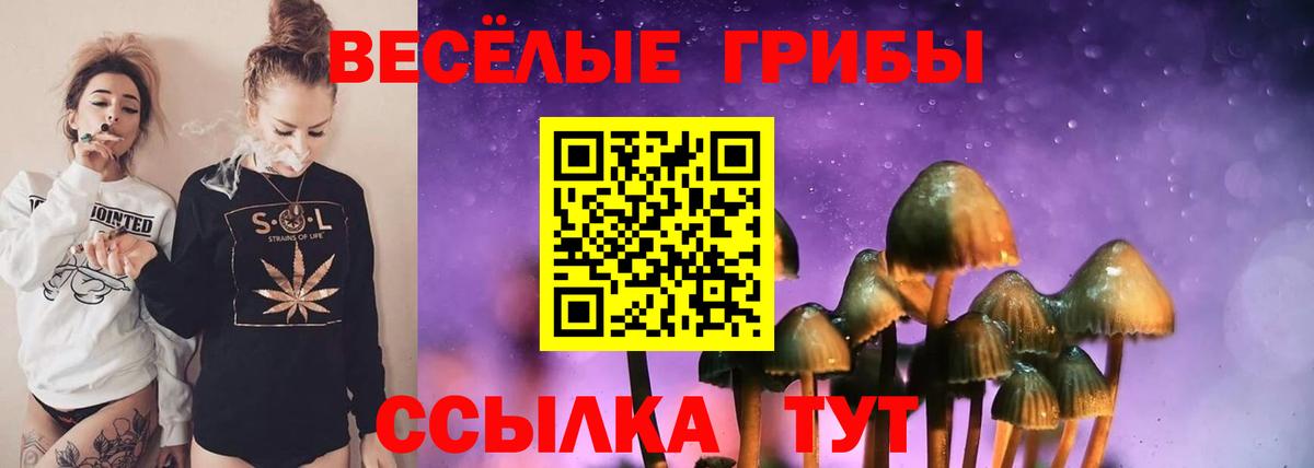 Городец  Галлюциногенные грибы Cubensis  Вход с VPN 
